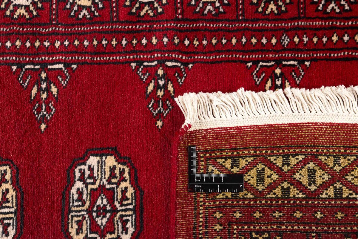 Pakistan Buchara 2ply - 1