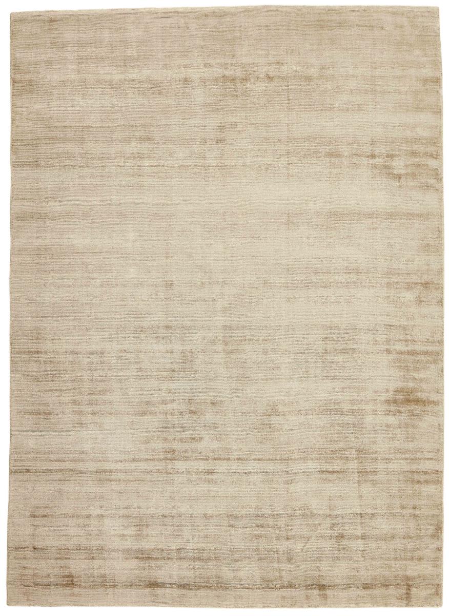 Indisk matta Radiant 199x140 199x140, Persisk matta Loom handknuten