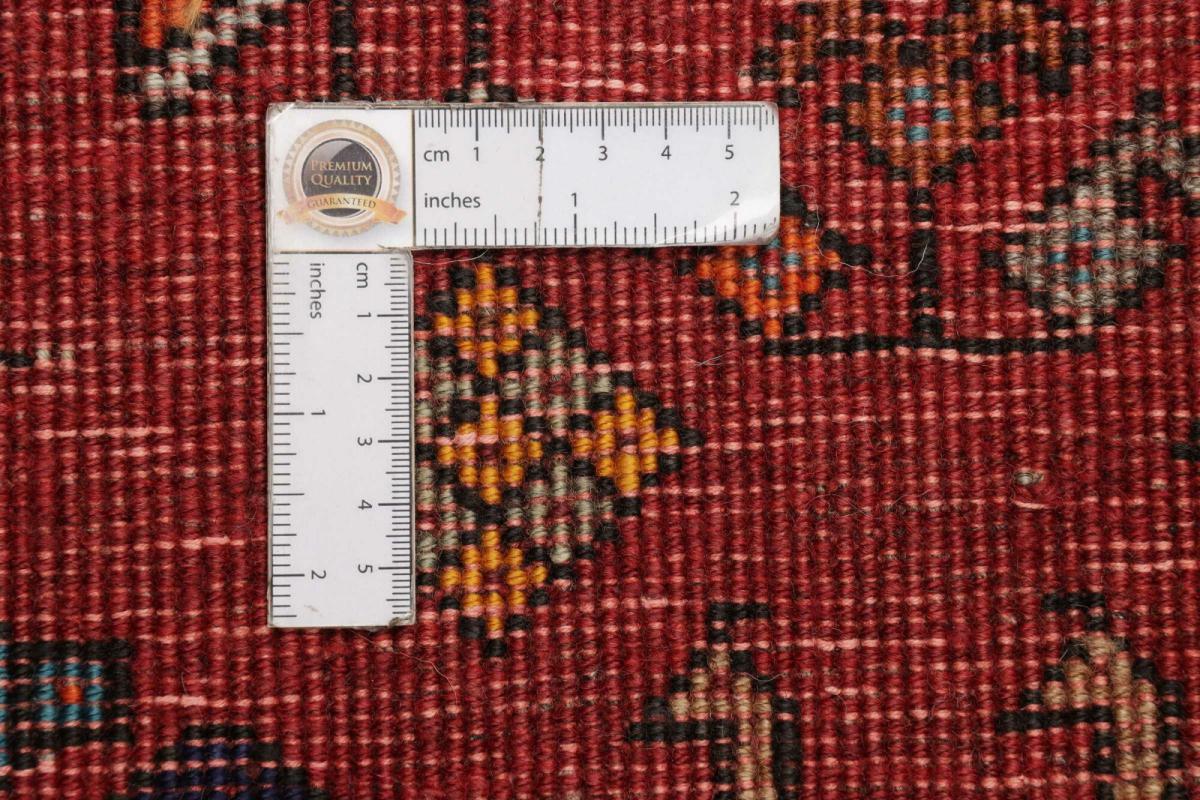 Shiraz - 1