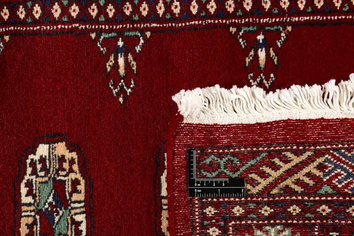 Pakistan Buchara 2ply - 1
