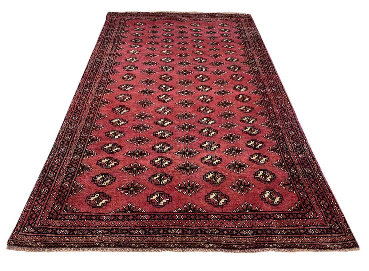Baluch - 1