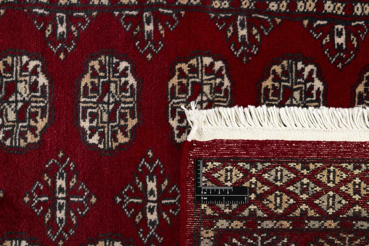 Pakistan Buchara 2ply - 1