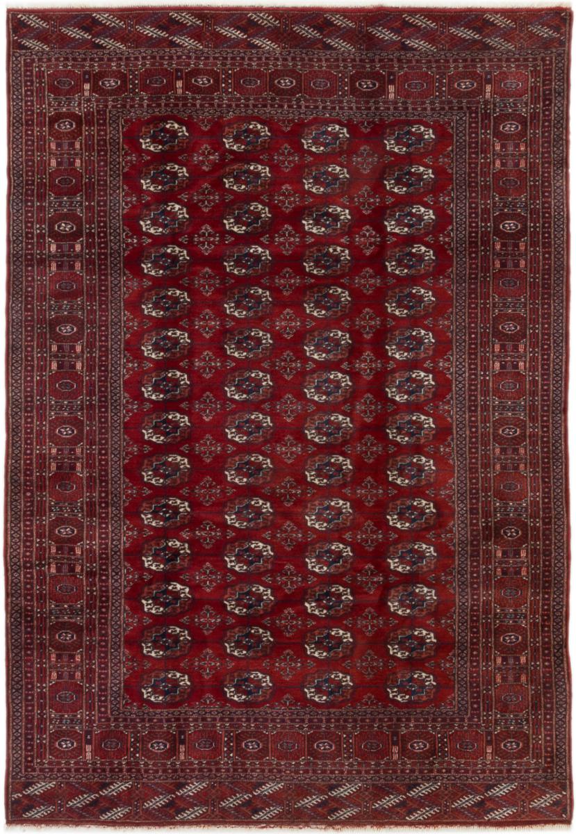 Tappeto Afgano Turkaman 266x186 266x186, Tappeto persiano Annodato a mano