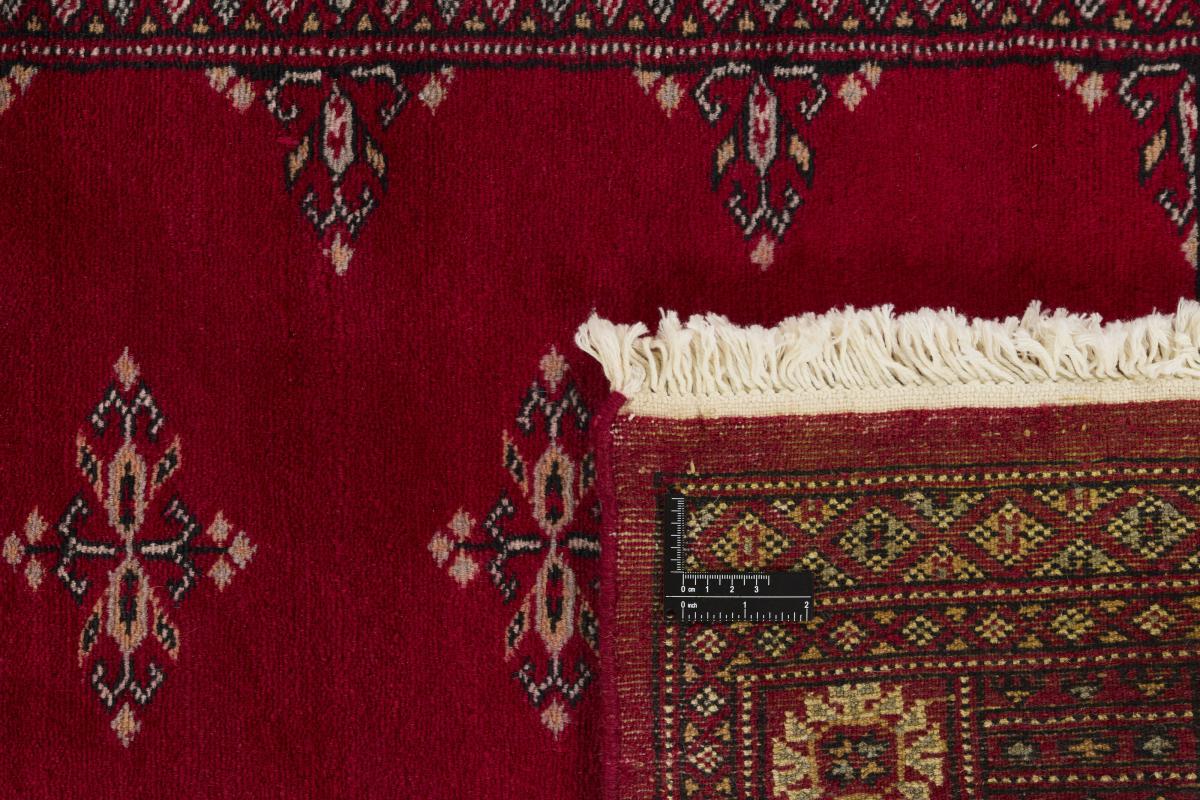 Pakistan Buchara 2ply - 1
