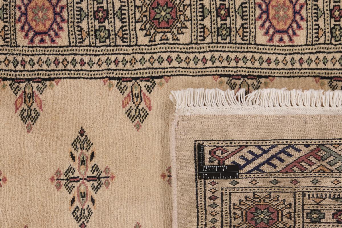 Pakistan Buchara 3ply - 1
