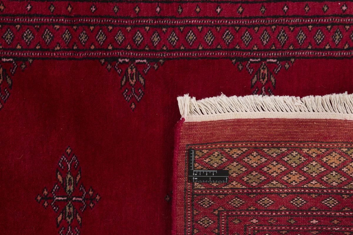 Pakistan Buchara 2ply - 1