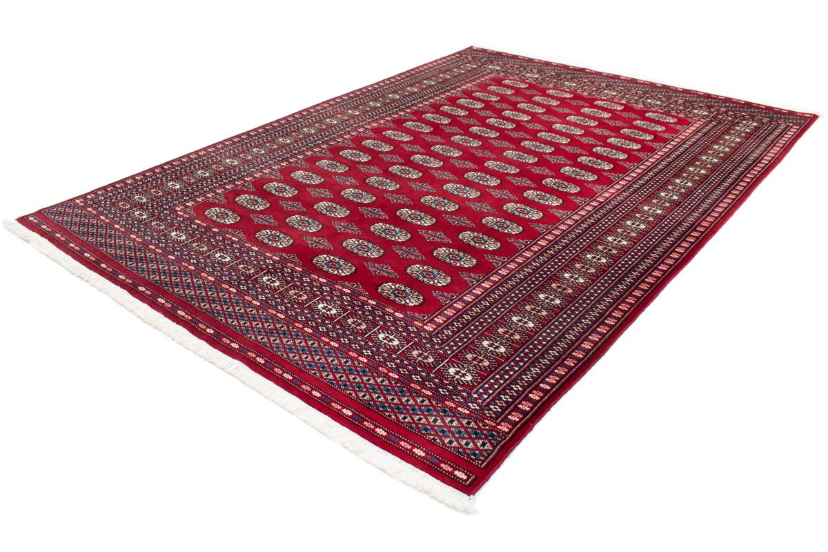 Pakistan Bukhara 3ply - 1