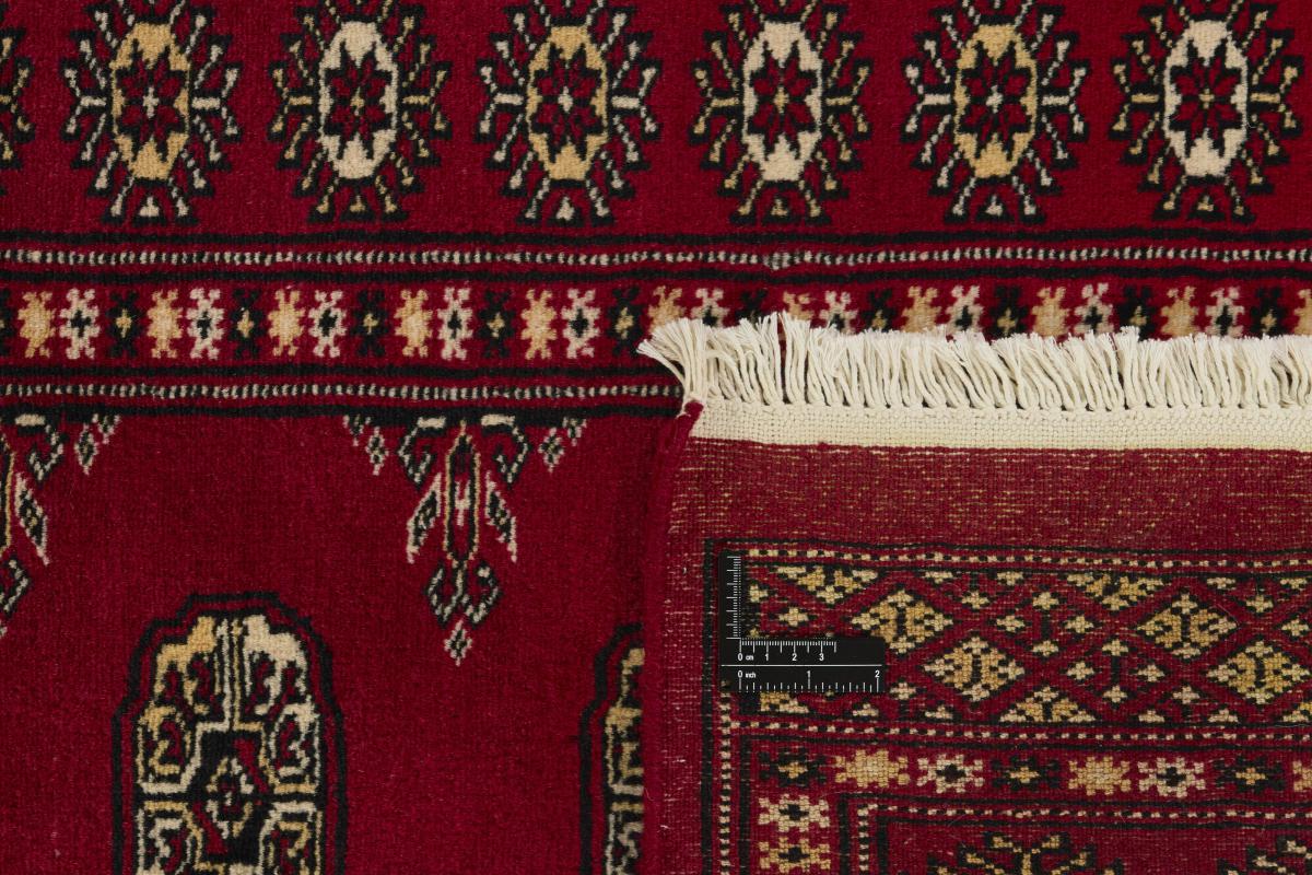 Pakistan Buchara 2ply - 1