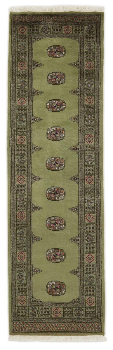 Alfombra pakistaní Pakistan Buchara 2ply 260x78 260x78, Alfombra persa Anudado a mano