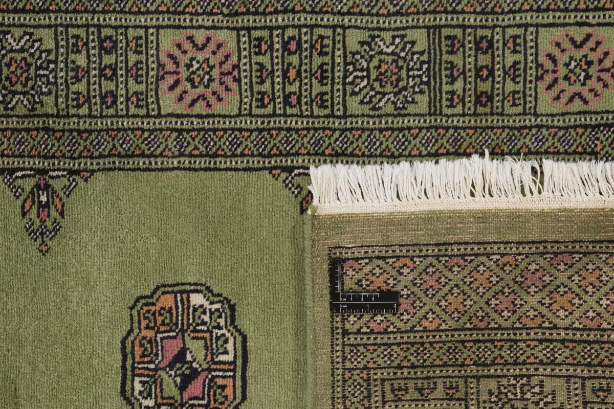 Pakistan Buchara 2ply - 1