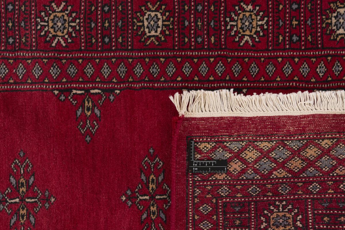 Pakistan Buchara 3ply - 1