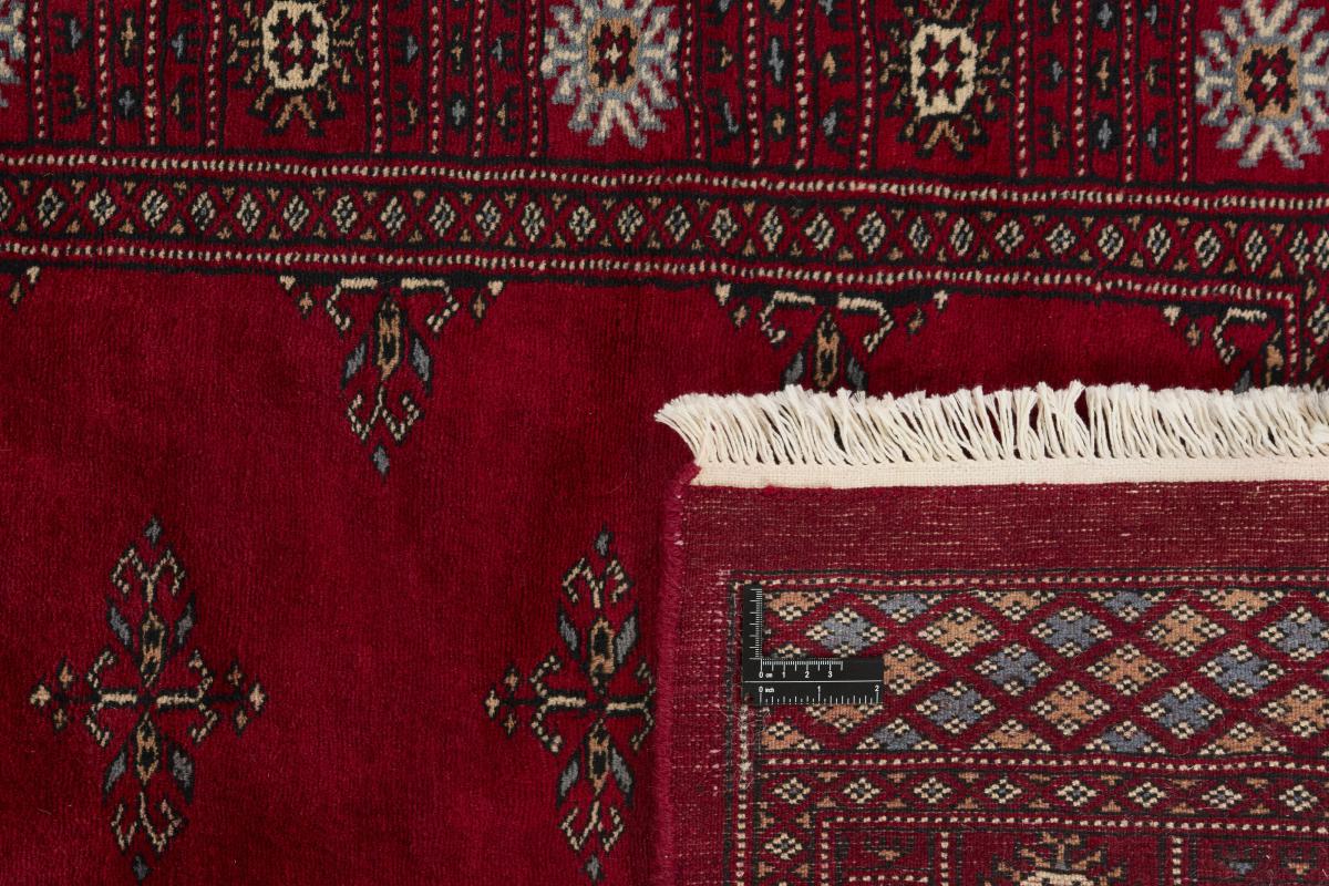 Paquistão Buchara 3ply - 1