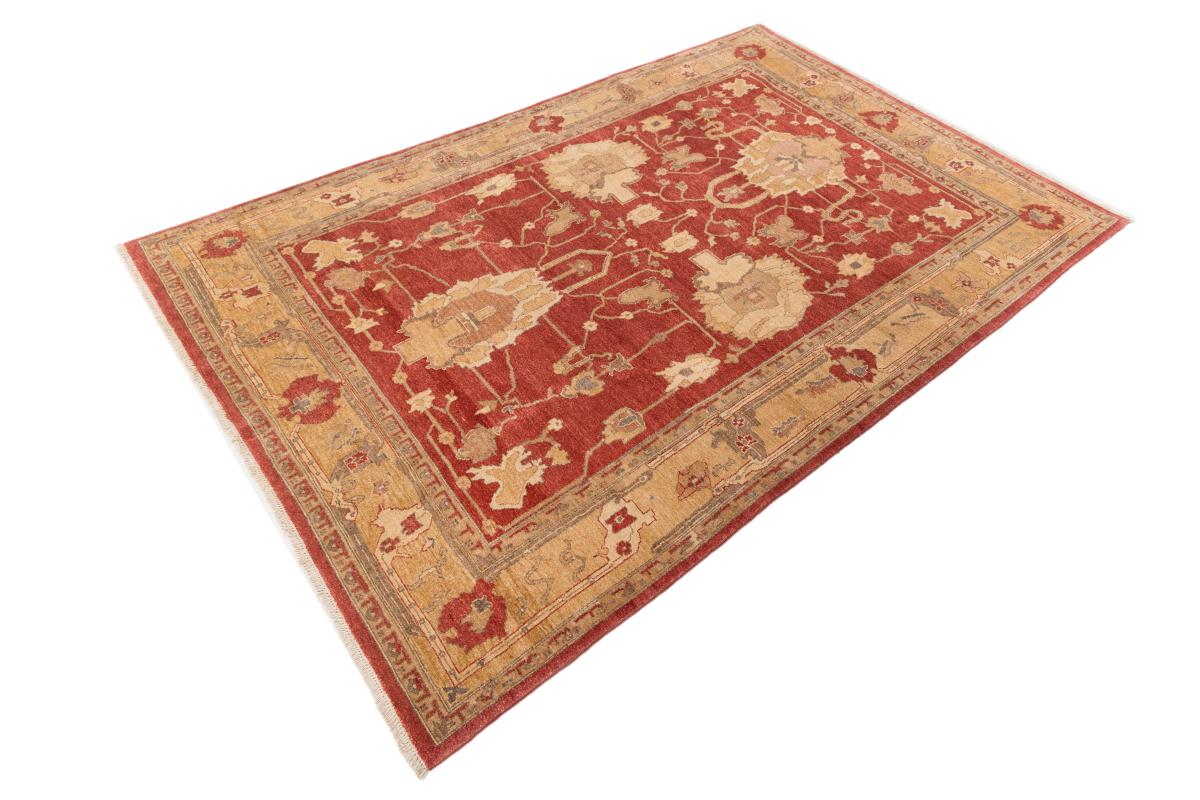 Ziegler Farahan - 1