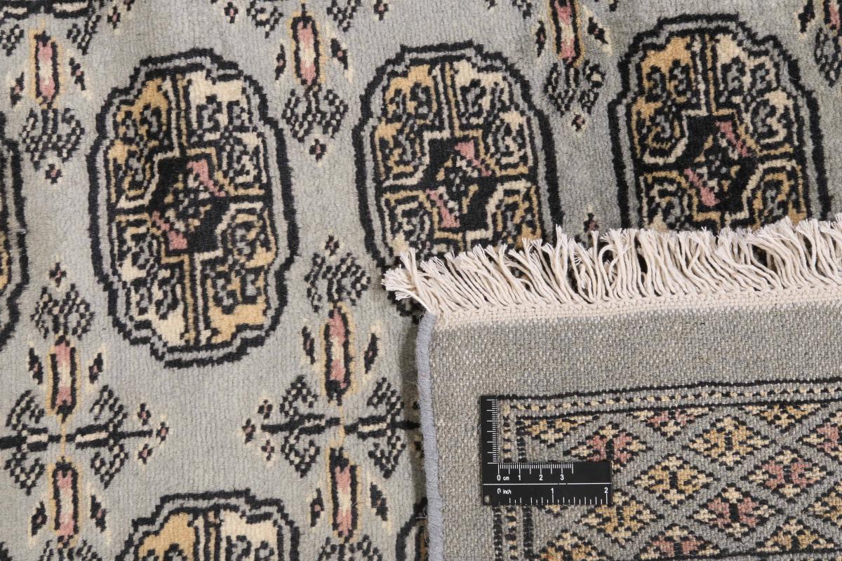 Pakistan Buchara 2ply - 1
