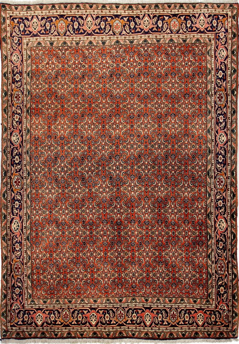 Persisk tæppe Bidjar 286x204 286x204, Persisk tæppe Knyttet i hånden