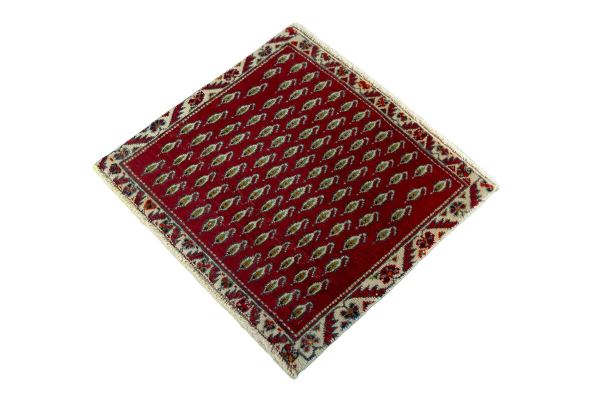Shiraz - 1