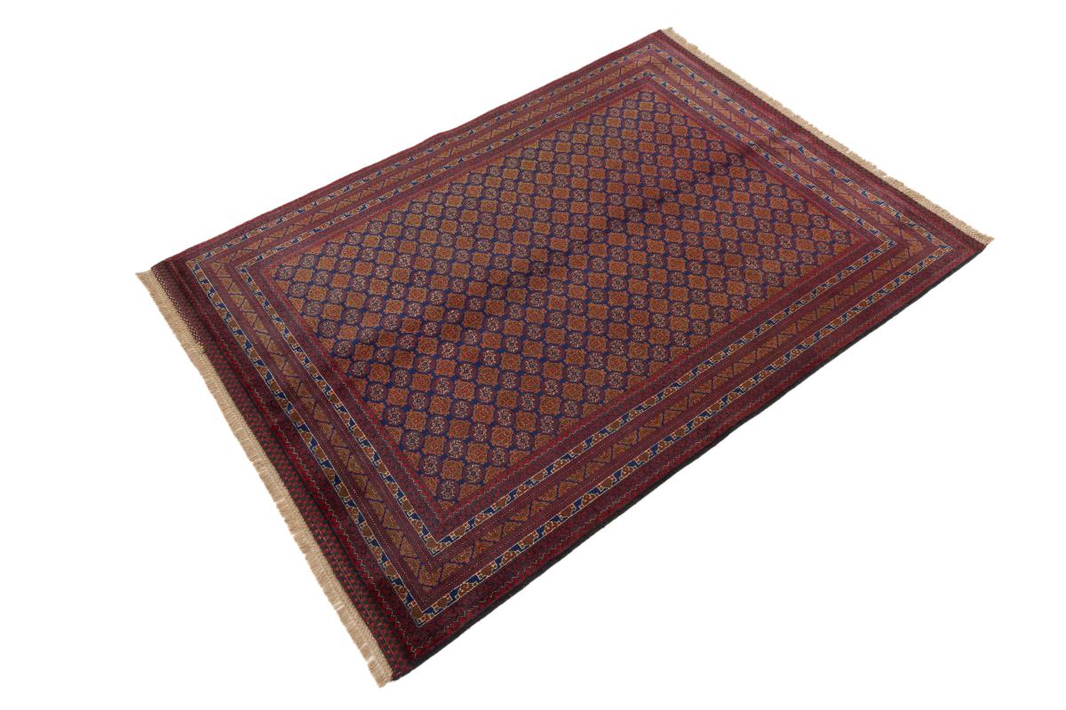 Afghan Mauri - 1