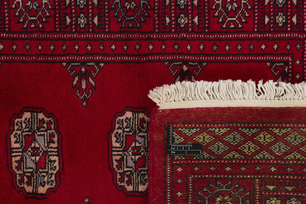 Pakistan Buchara 2ply - 1