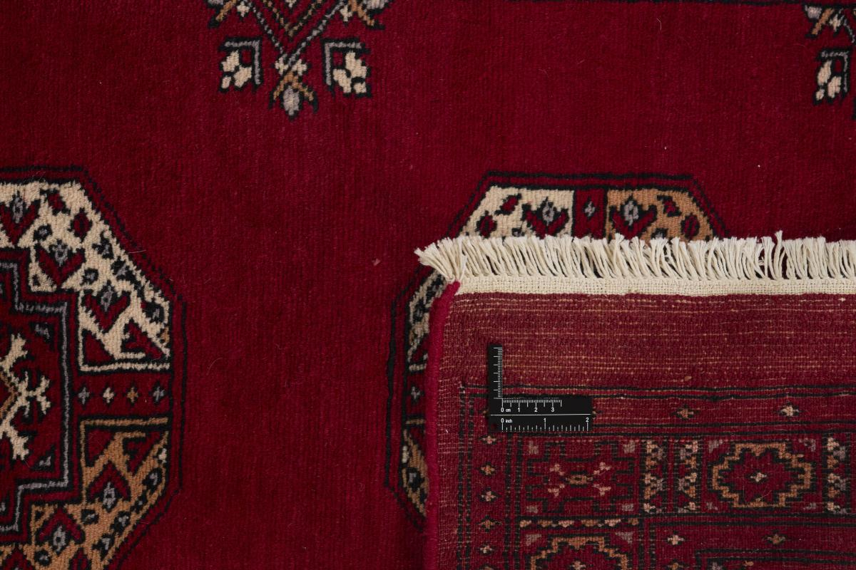 Pakistan Buchara 3ply - 1