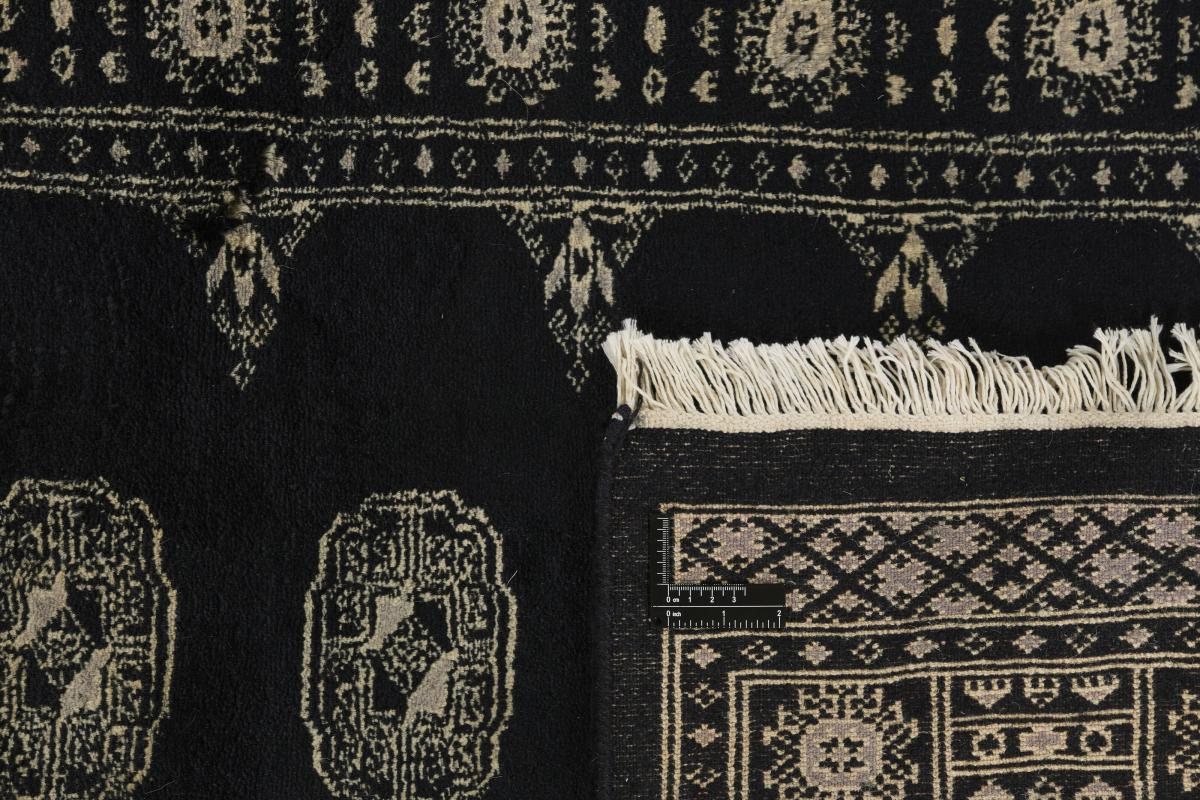 Pakistan Buchara 3ply - 1