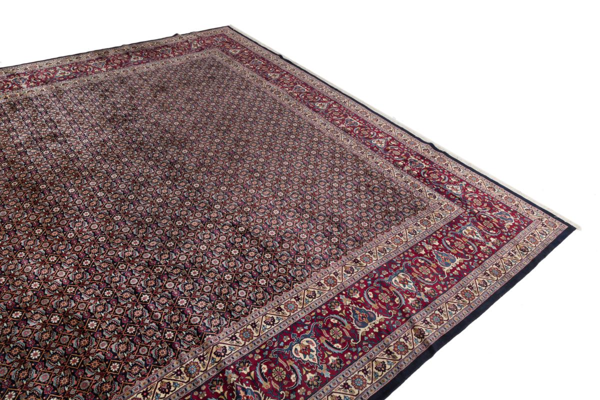 Tabriz Mahi 50 Raj - 1