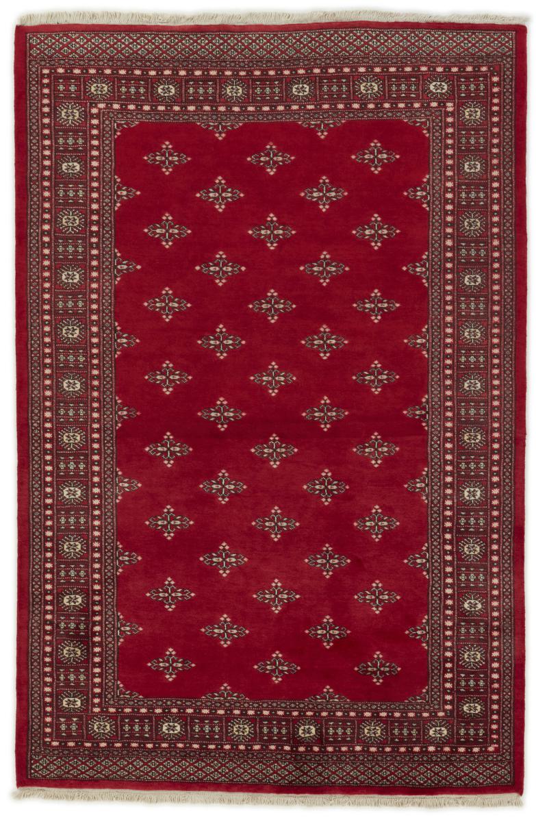 Tappeto pakistano Pakistan Buchara 2ply 259x171 259x171, Tappeto persiano Annodato a mano
