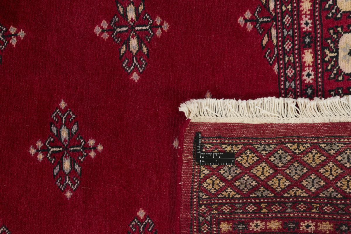 Pakistan Buchara 2ply - 1