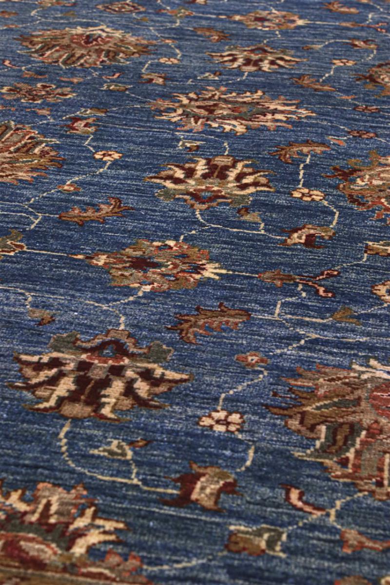 Ziegler Farahan - 1