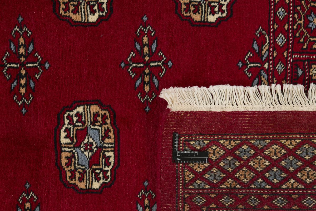 Pakistan Buchara 3ply - 1