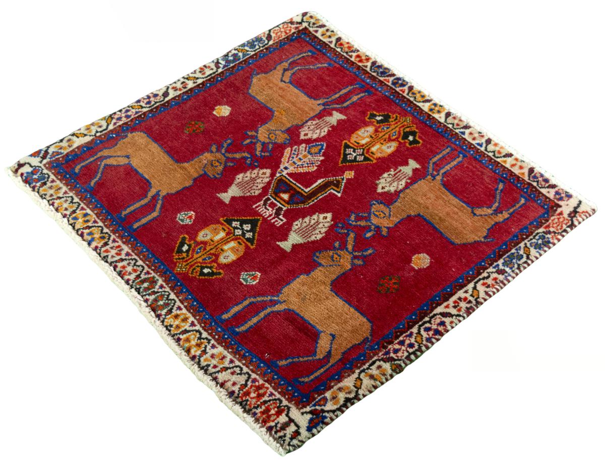 Shiraz - 1