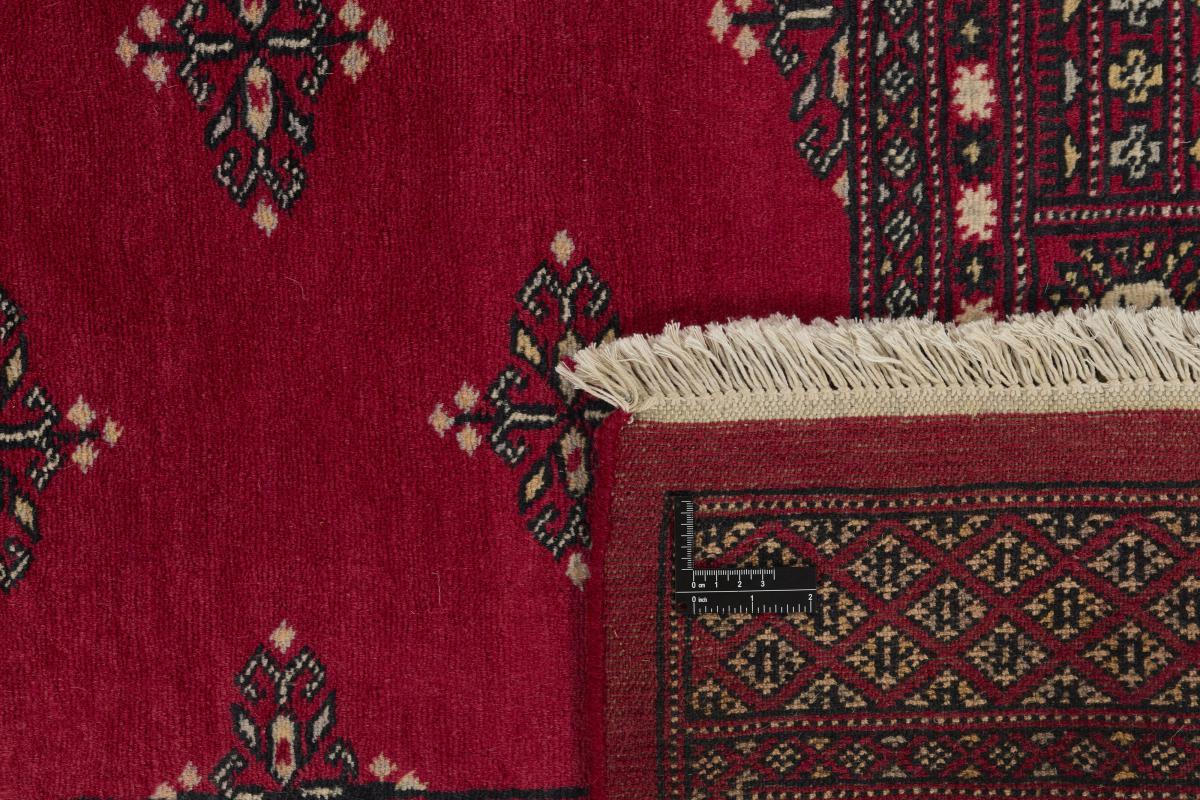 Pakistan Buchara 2ply - 1