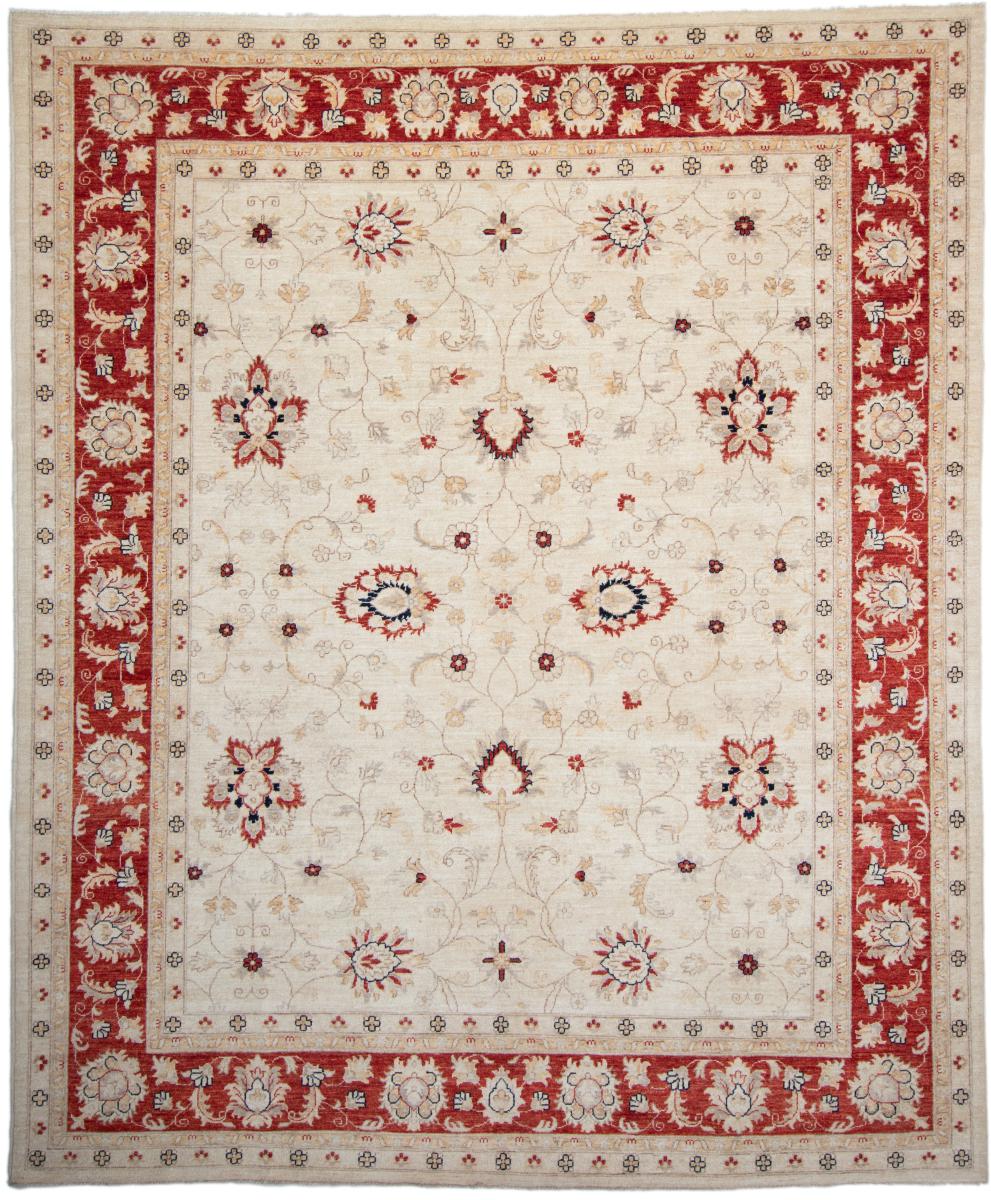Pakisztáni szőnyeg Ziegler Farahan 9'9"x8'0" 9'9"x8'0", Perzsa szőnyeg Kézzel csomózva