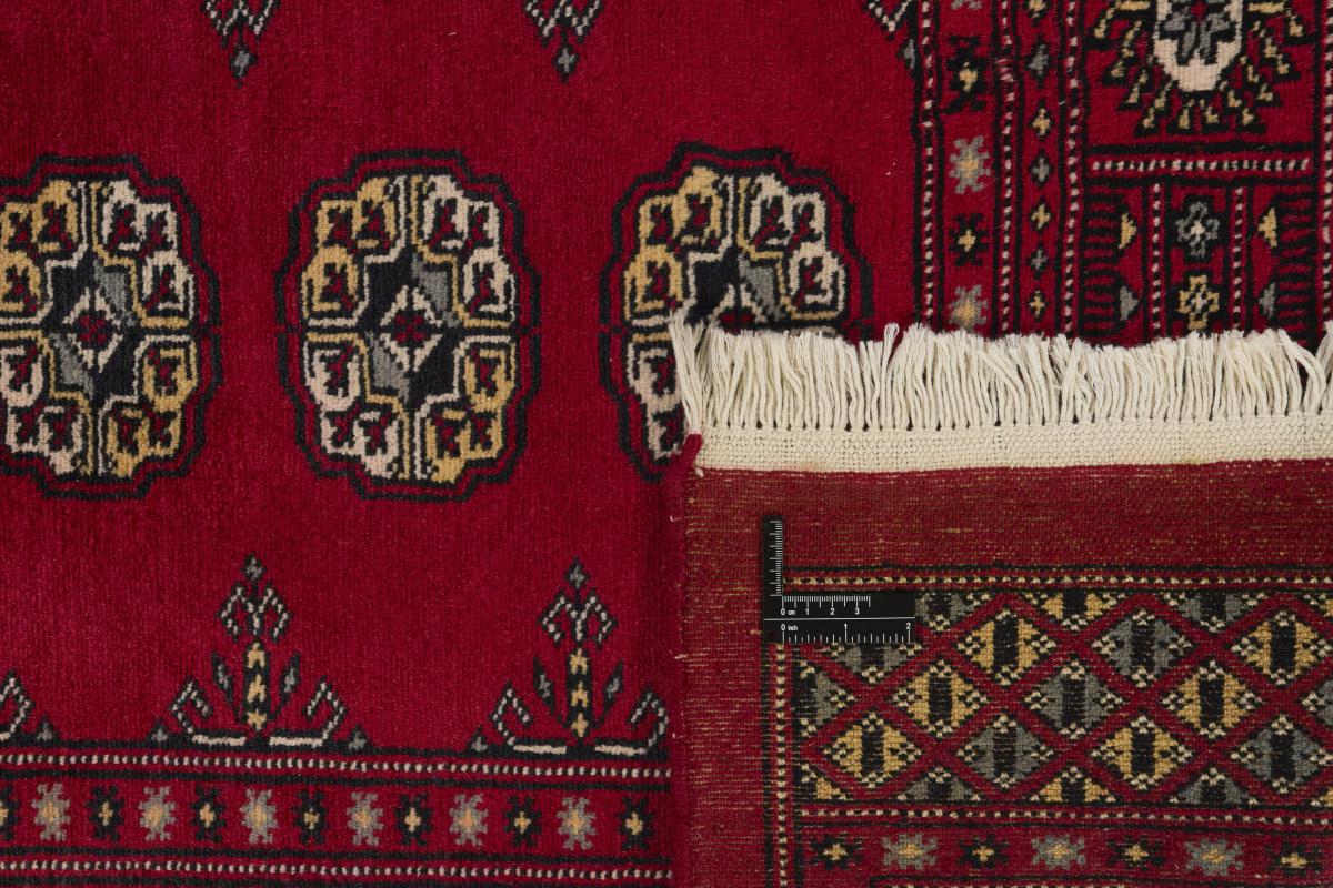Pakistan Buchara 2ply - 1