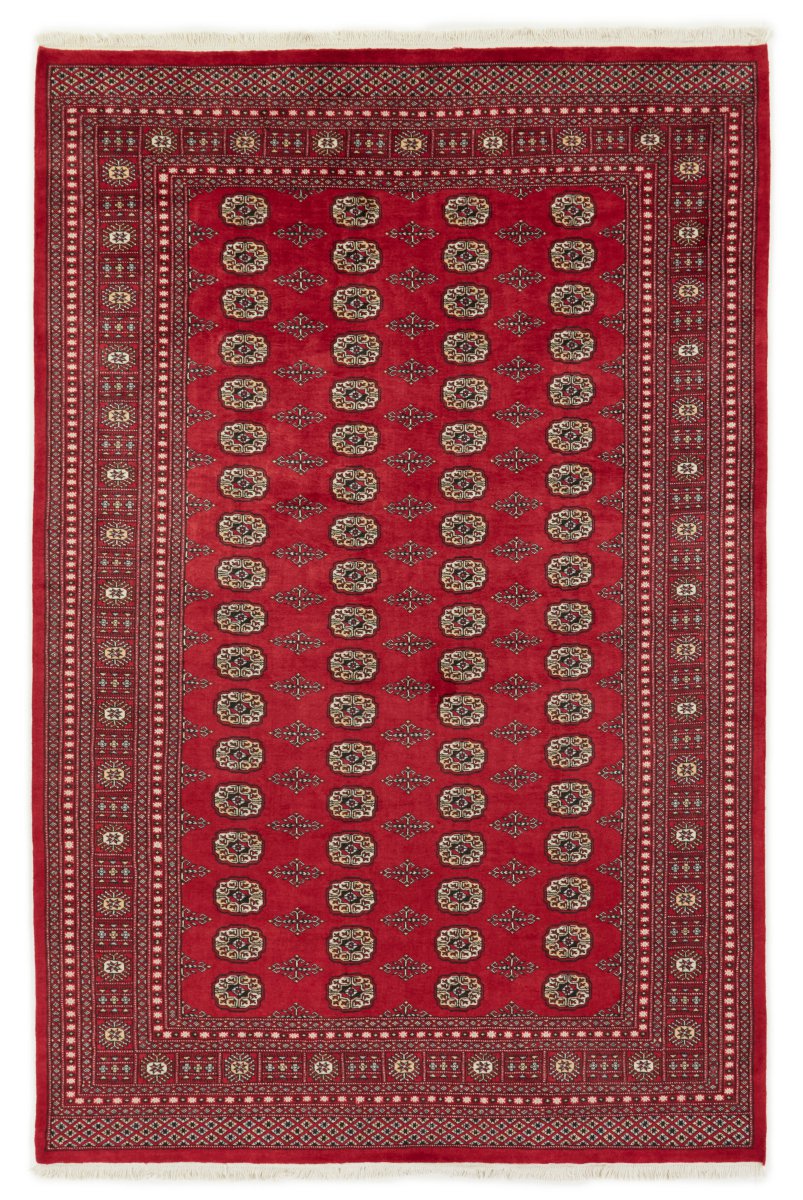Tappeto pakistano Pakistan Buchara 2ply 305x203 305x203, Tappeto persiano Annodato a mano