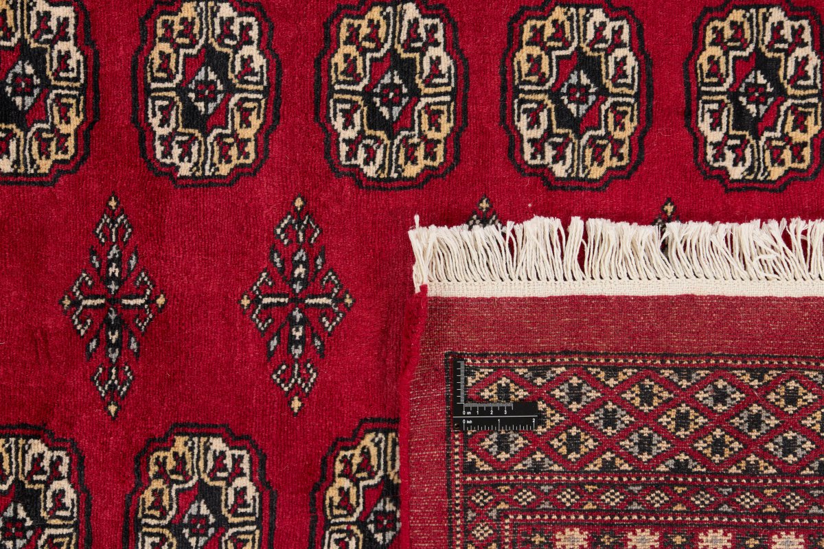 Pakistan Buchara 2ply - 1