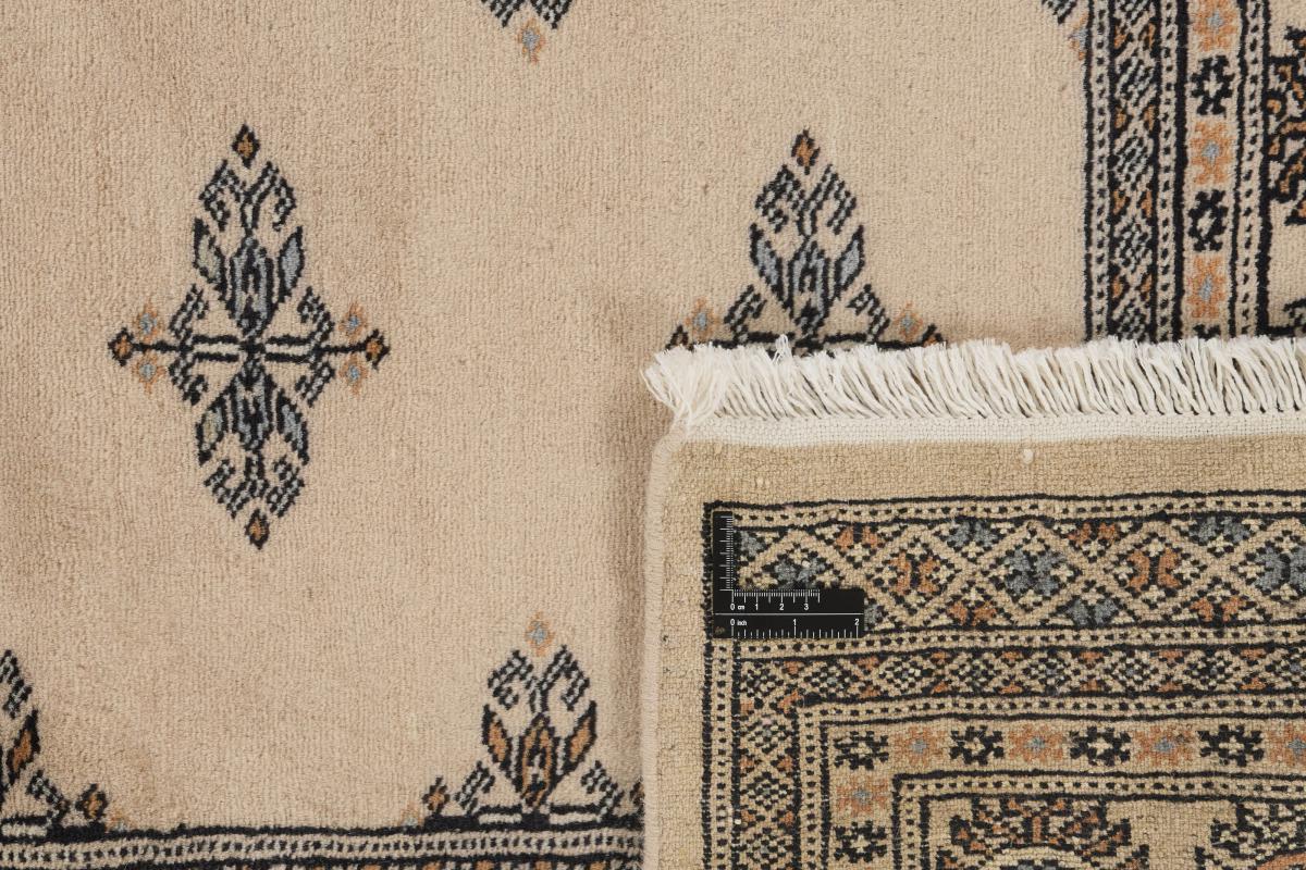 Pakistan Buchara 2ply - 1