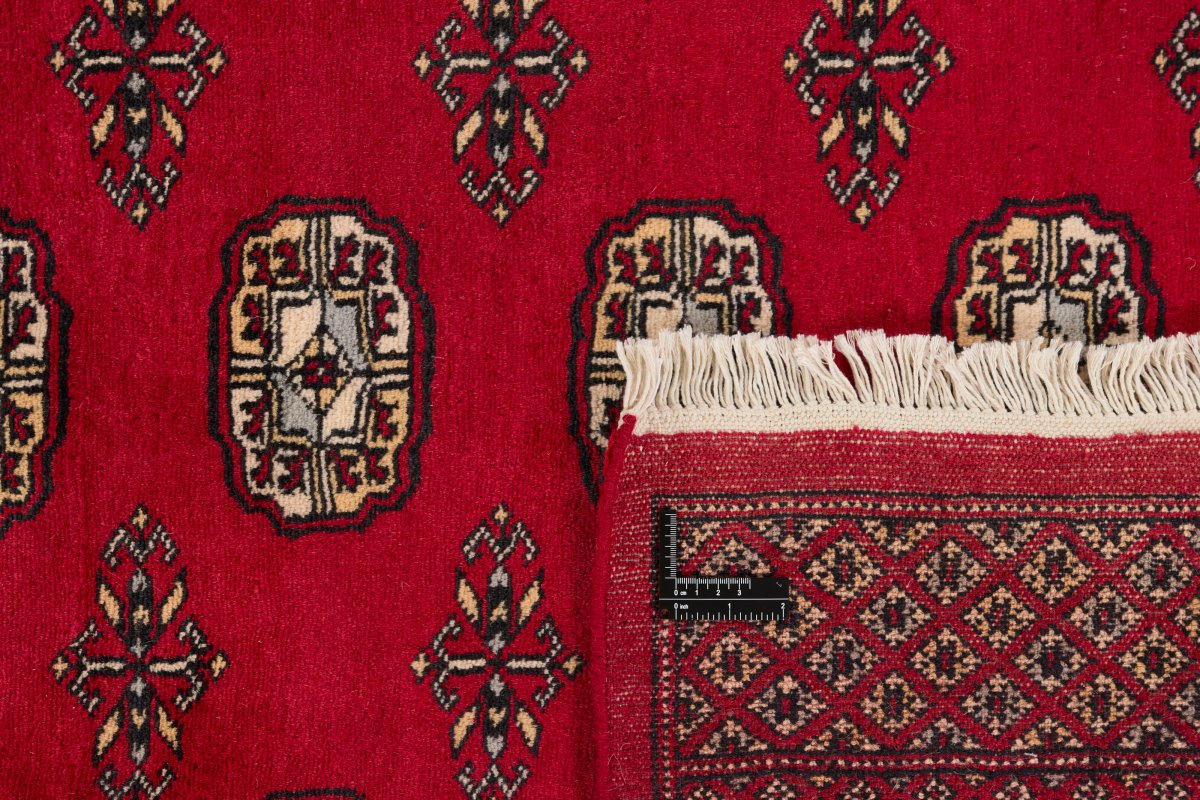 Pakistan Buchara 2ply - 1
