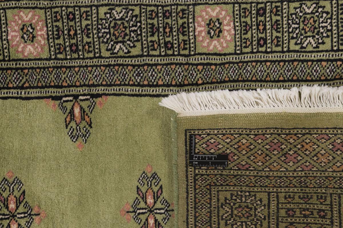 Pakistan Buchara 2ply - 1