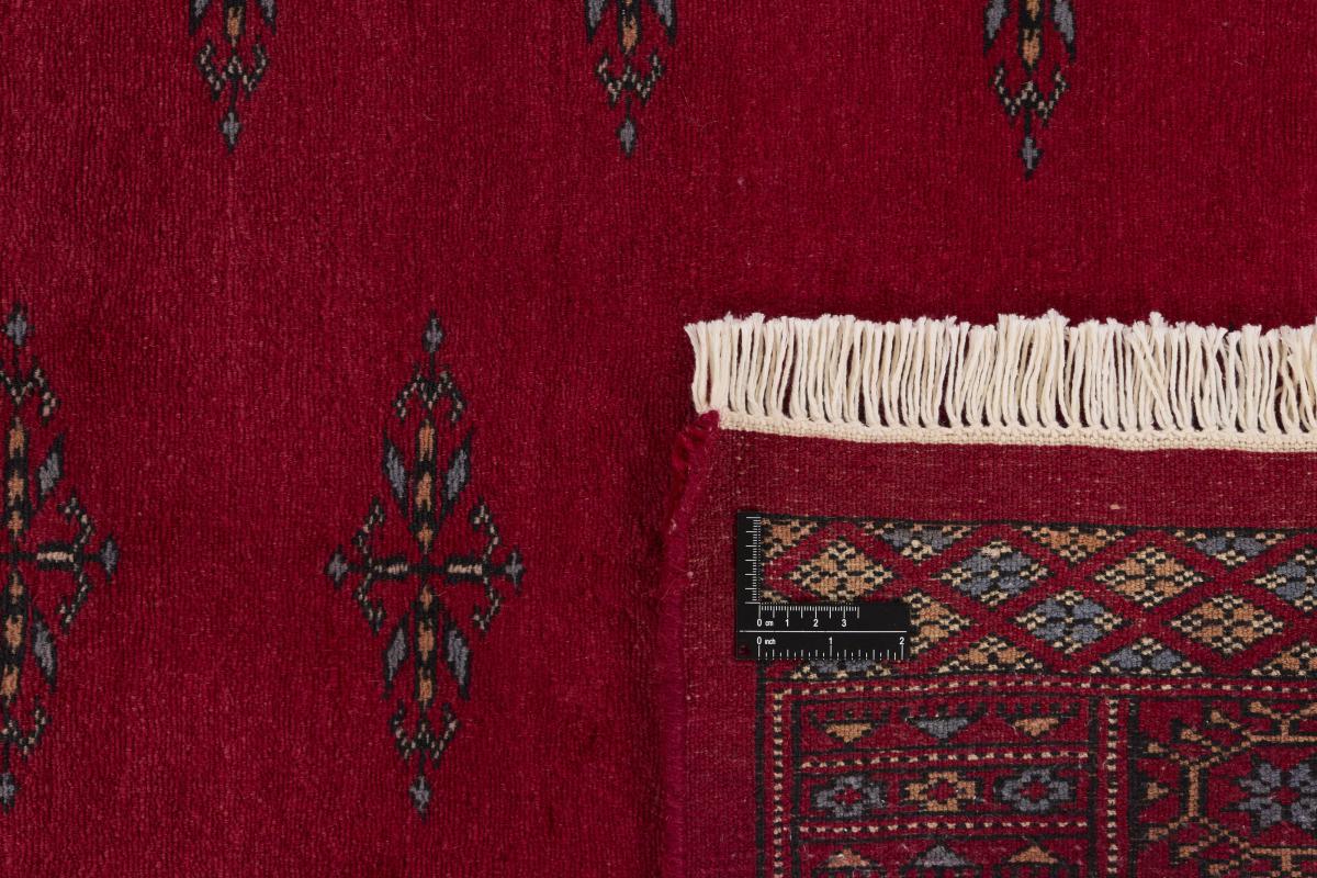 Pakistan Buchara 3ply - 1