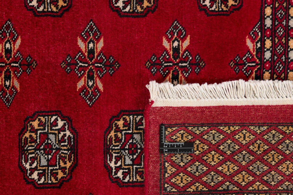Pakistan Buchara 2ply - 1