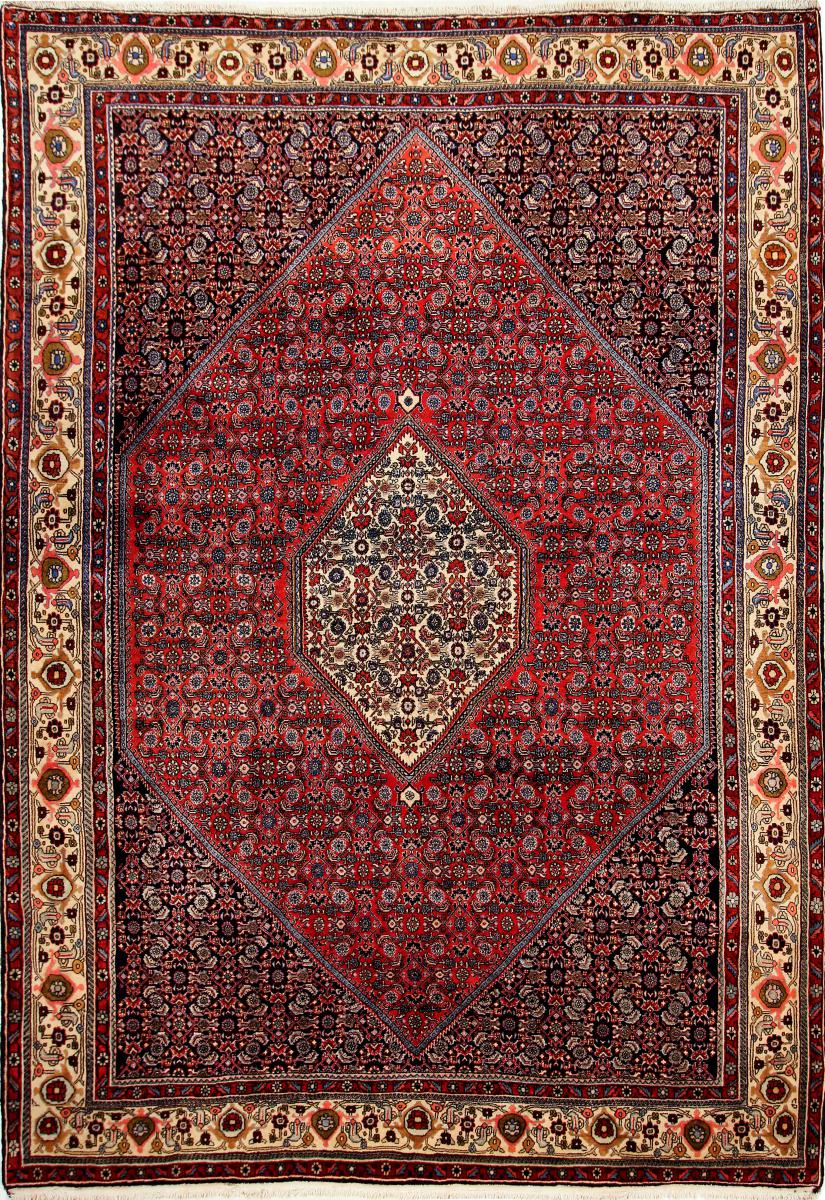 Persian Rug Bidjar 306x211 306x211, Persian Rug Knotted by hand