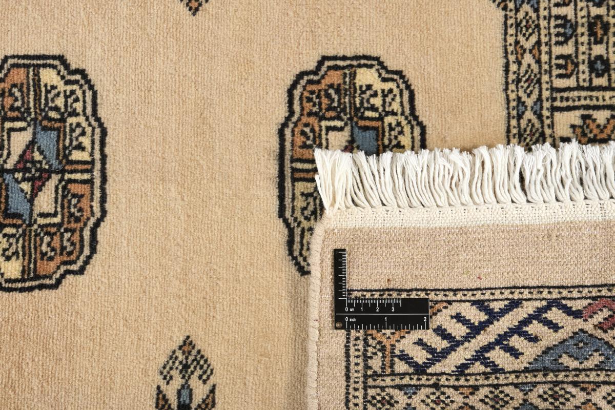 Pakistan Buchara 2ply - 1