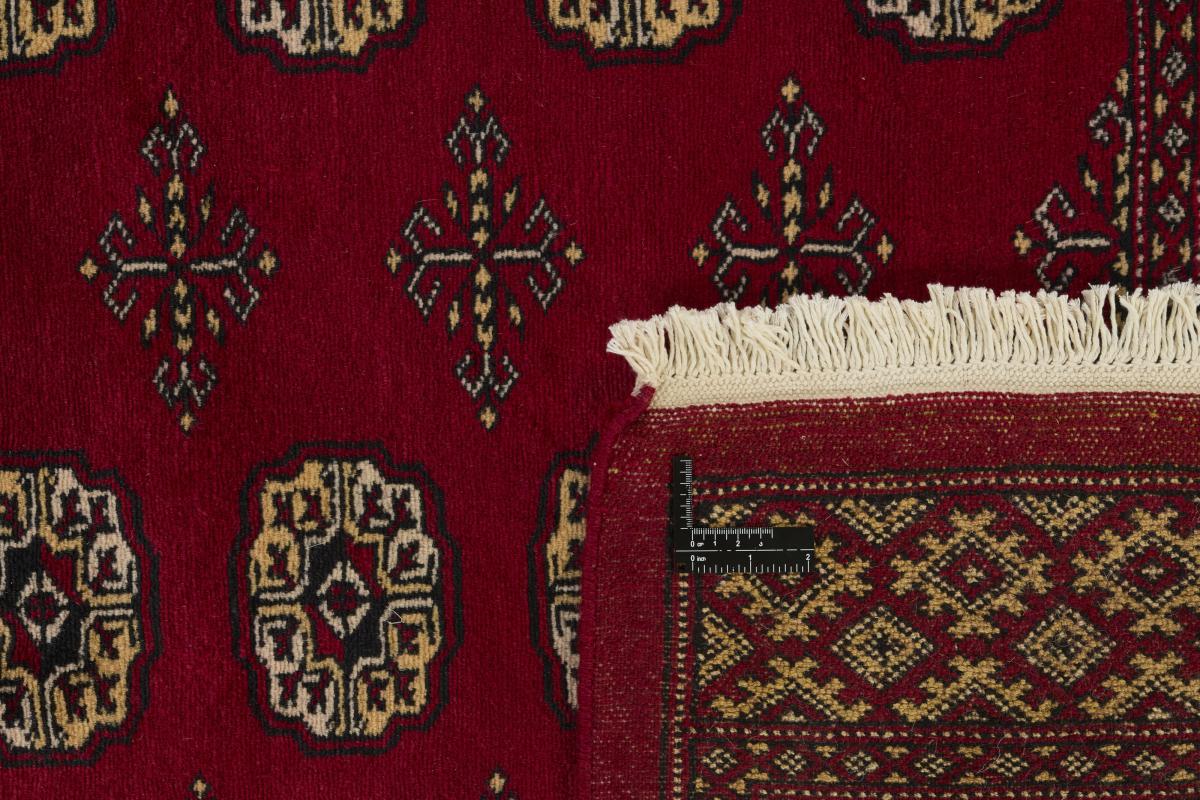 Pakistan Buchara 2ply - 1
