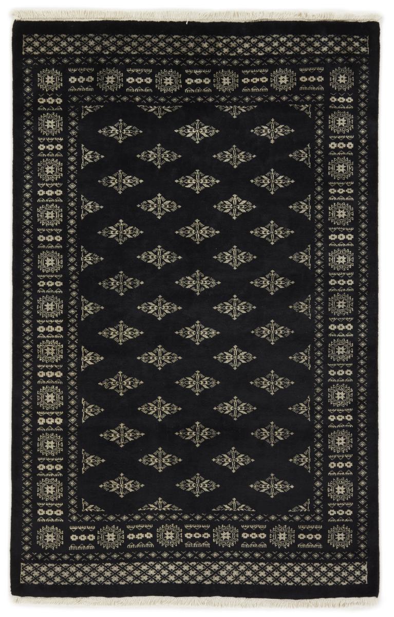 Pakistansk teppe Pakistan Buchara 3ply 214x137 214x137, Persisk teppe Knyttet for hånd