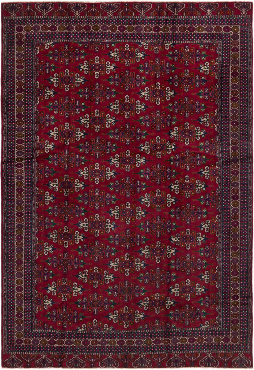 Afghansk tæppe Afghan Mauri 275x190 275x190, Persisk tæppe Knyttet i hånden