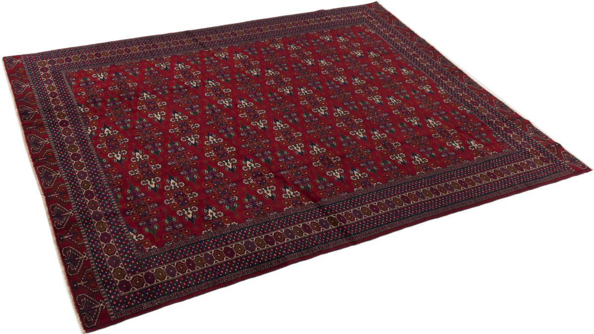 Afghan Mauri - 1