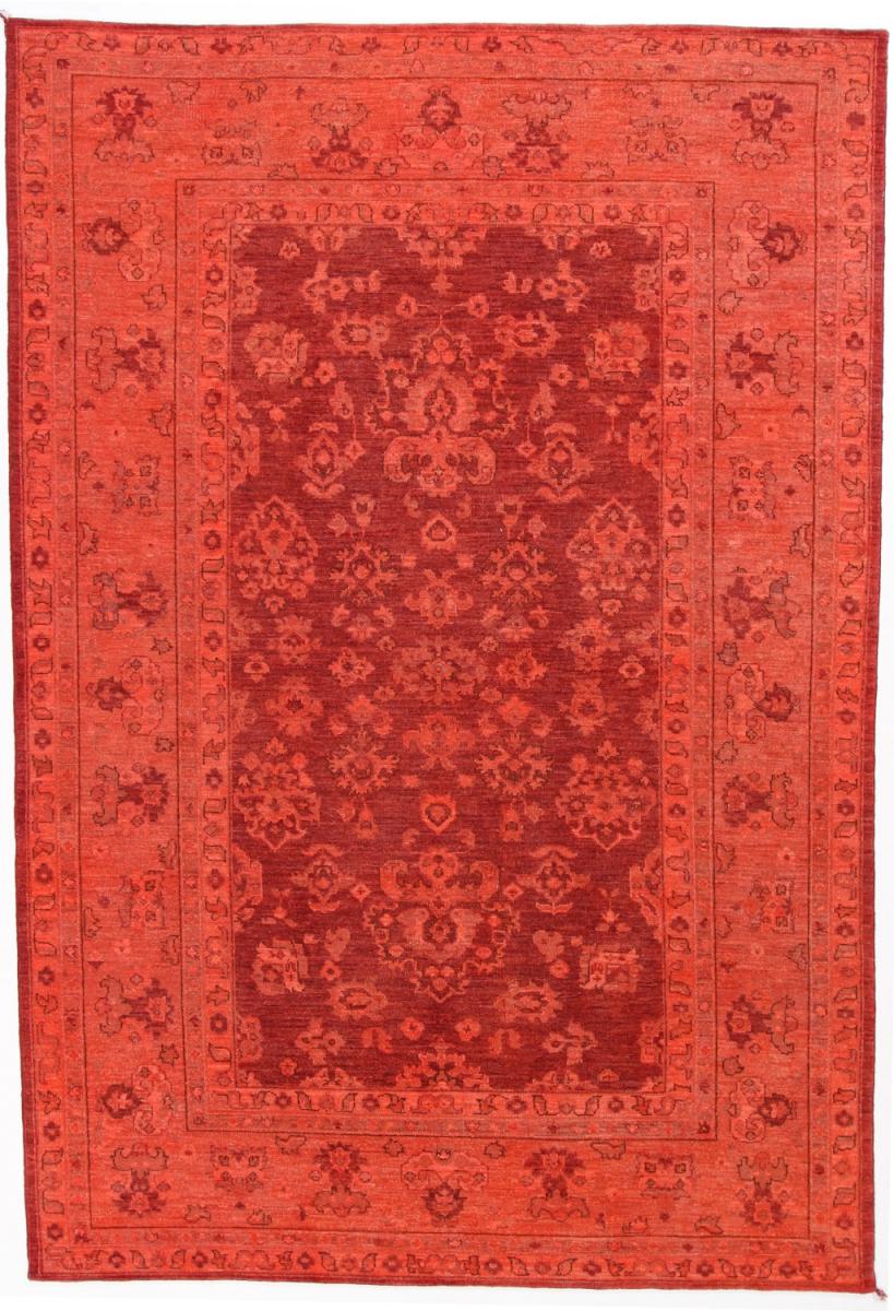 Pakistanilainen matto Ziegler Colored 264x183 264x183, Persialainen matto Solmittu käsin