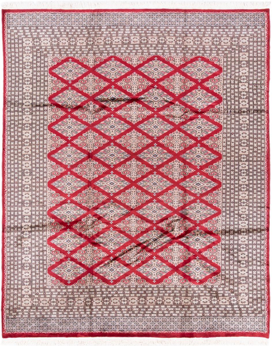 Tapis pakistanais Pakistan 253x307 253x307, Tapis persan Noué à la main