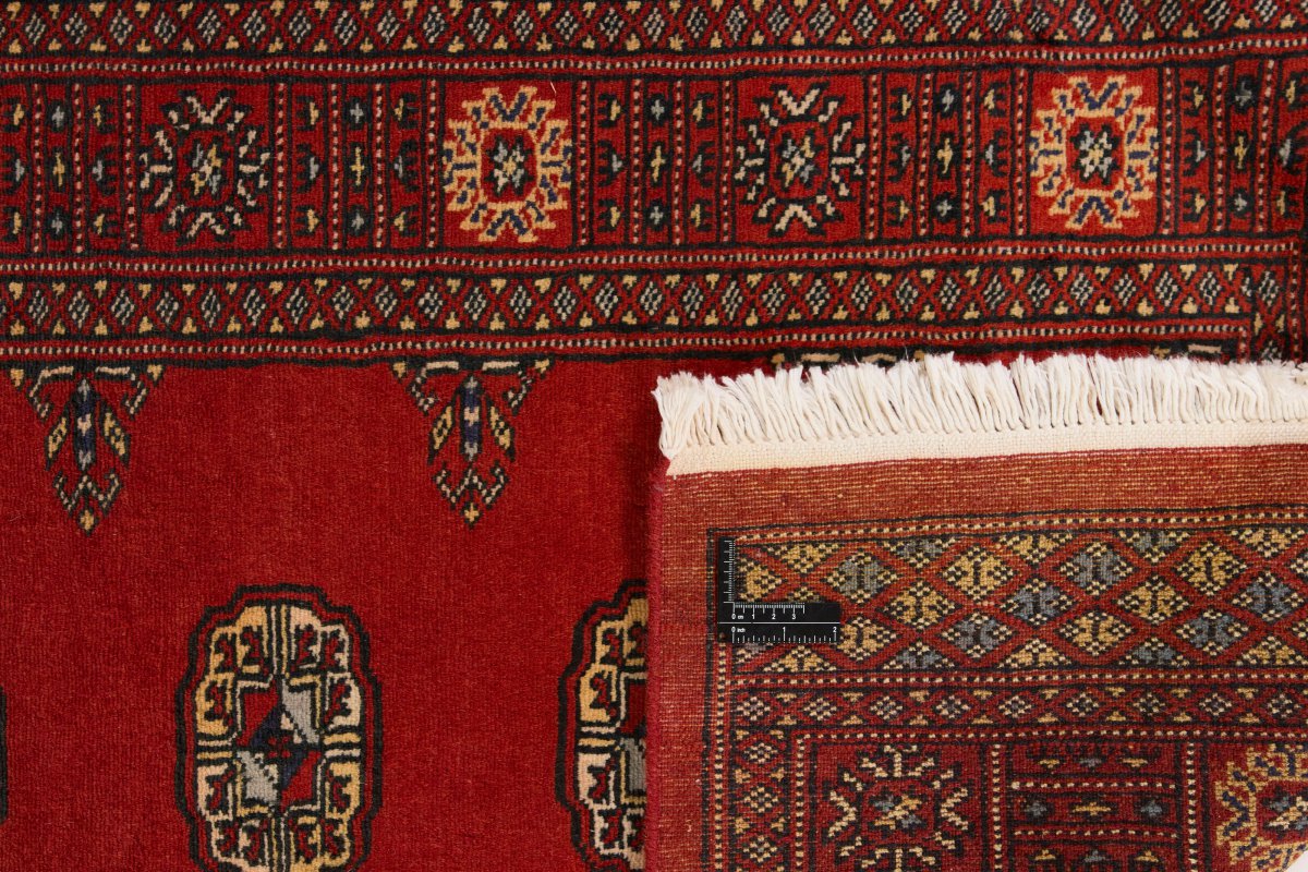 Pakistan Buchara 2ply - 1