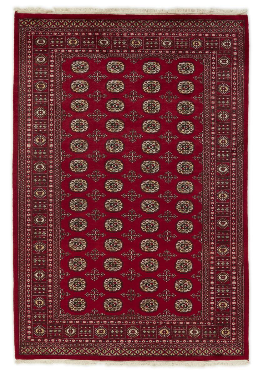 Tappeto pakistano Pakistan Buchara 2ply 256x174 256x174, Tappeto persiano Annodato a mano